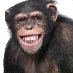 Meet your Posher, Felix